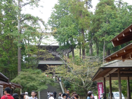 画像33